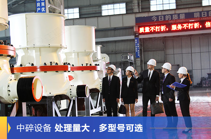 客戶到紅星機(jī)器廠區(qū)參觀設(shè)備 客戶到紅星機(jī)器廠區(qū)參觀設(shè)備